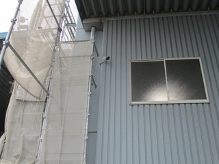 IMG_9008[1].JPGのサムネール画像